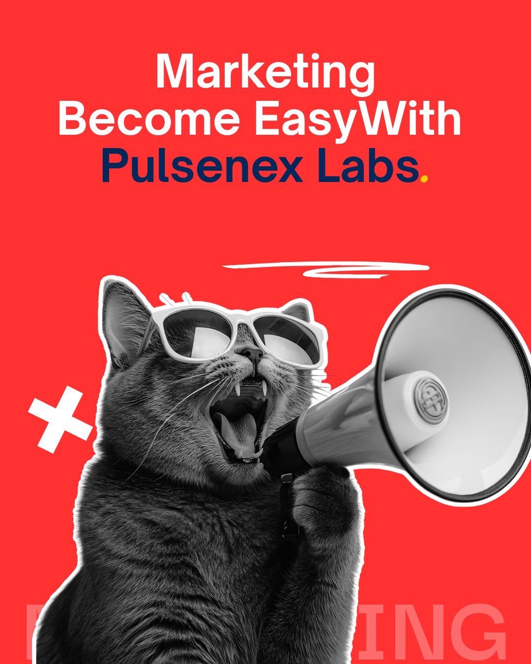 PulseNex